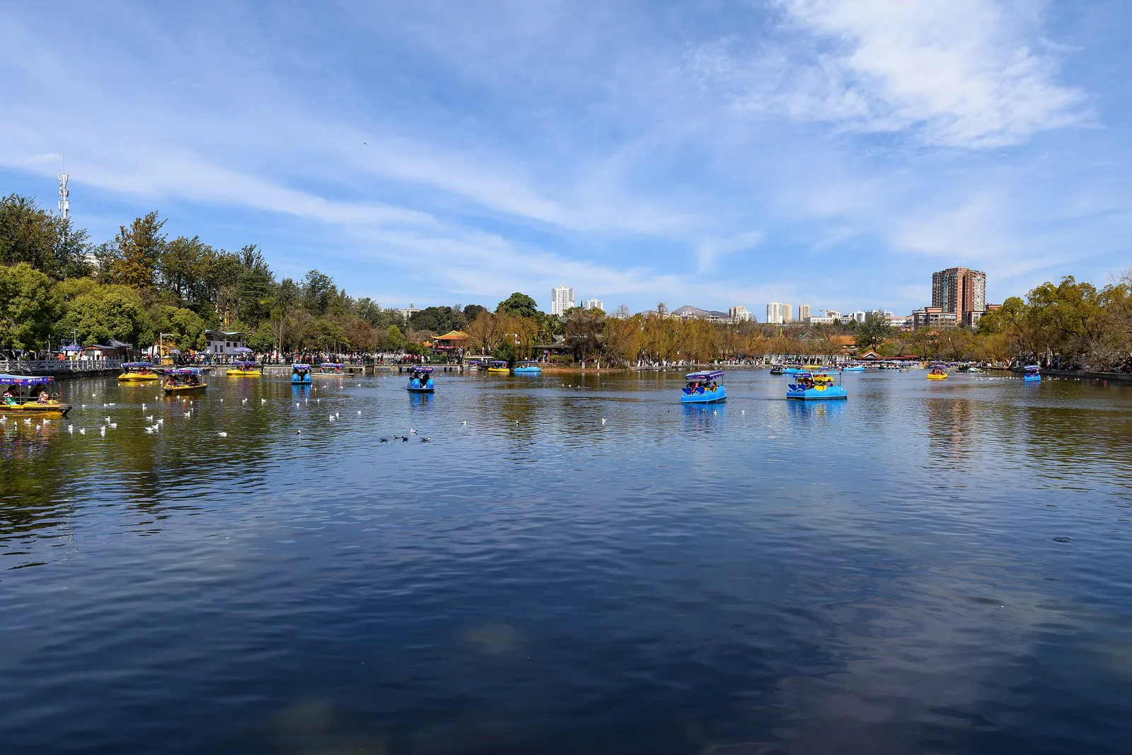 Blue water and pedal boats in the southwest of Green Lake Park
