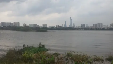 Haizhu Lake in the wetland park, with Canton Tower on the skyline