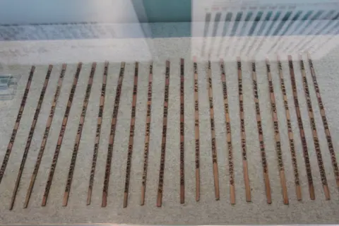 Rows of inscribed Three Kingdoms bamboo slips on display at the Bamboo Slips Museum