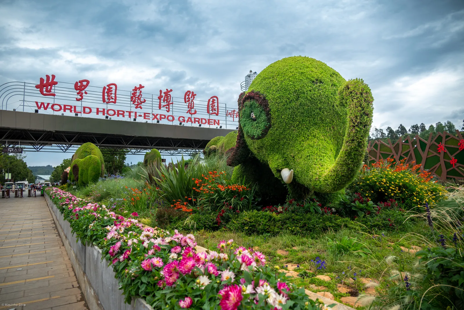 Flower beds and topiary at the entrance to the Kunming World Horti-Expo Garden