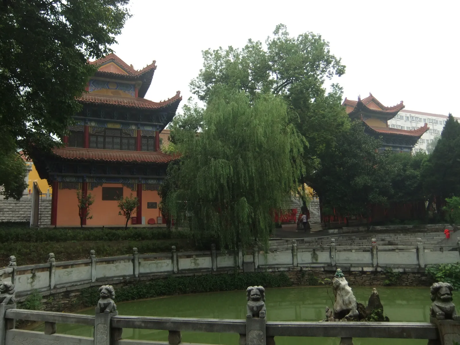 Pagoda-roofed halls of Baotong Temple beside its pond