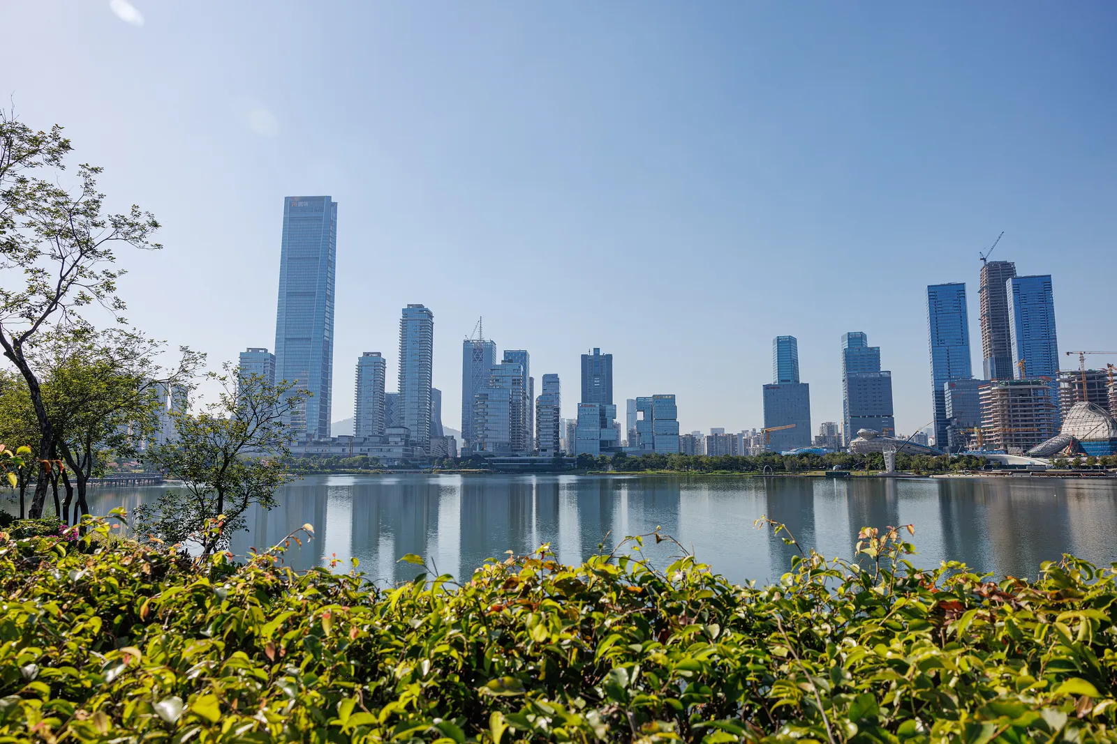 Shenzhen Bay skyline reflected in the lake at Talent Park