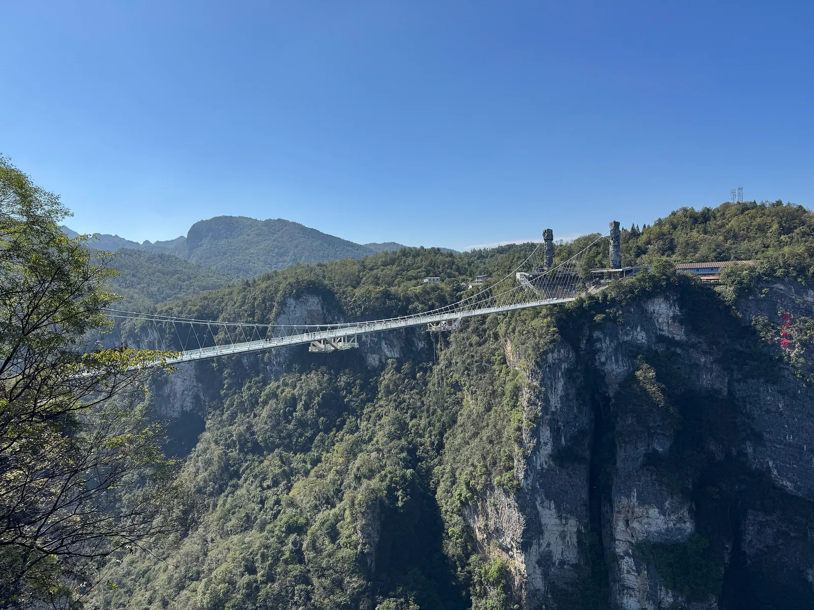 The Grand Canyon Glass Bridge spanning a forested gorge in Zhangjiajie