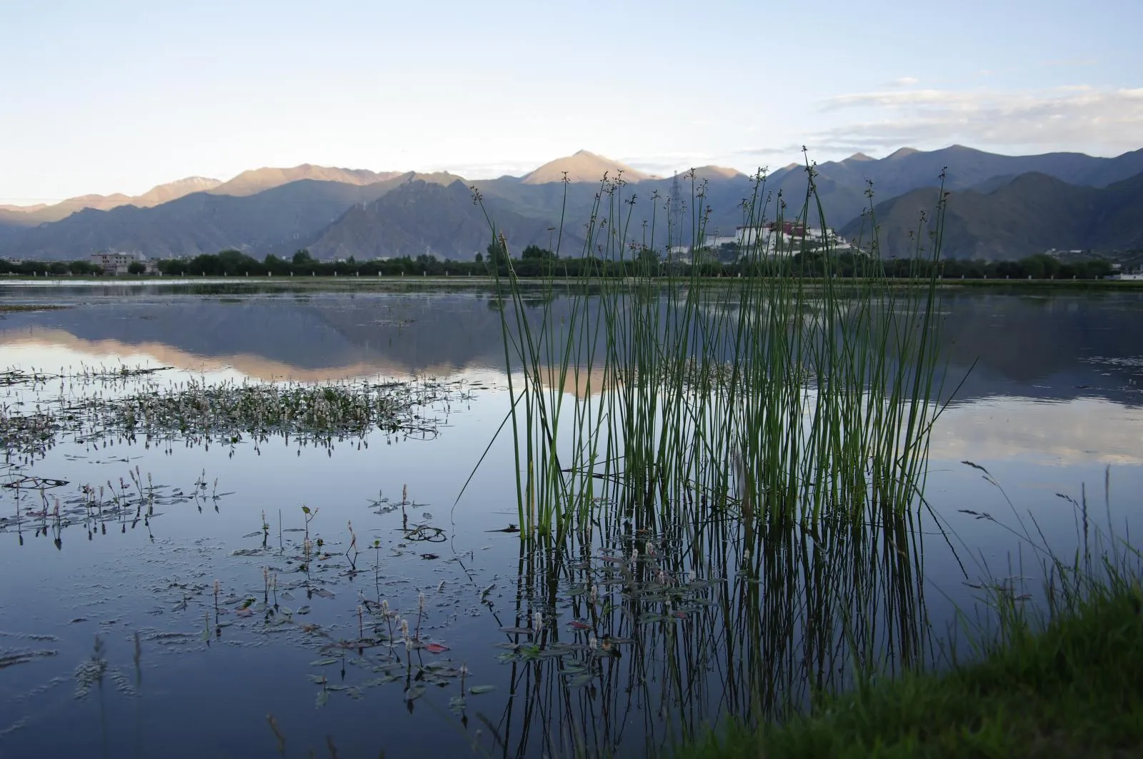 Reeds and still water reflecting mountains at Lhalu Wetland