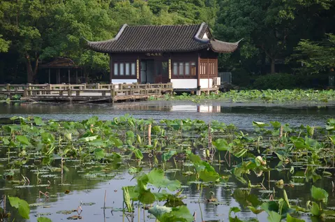 A pavilion on the water behind lotus leaves at Xixi Wetland