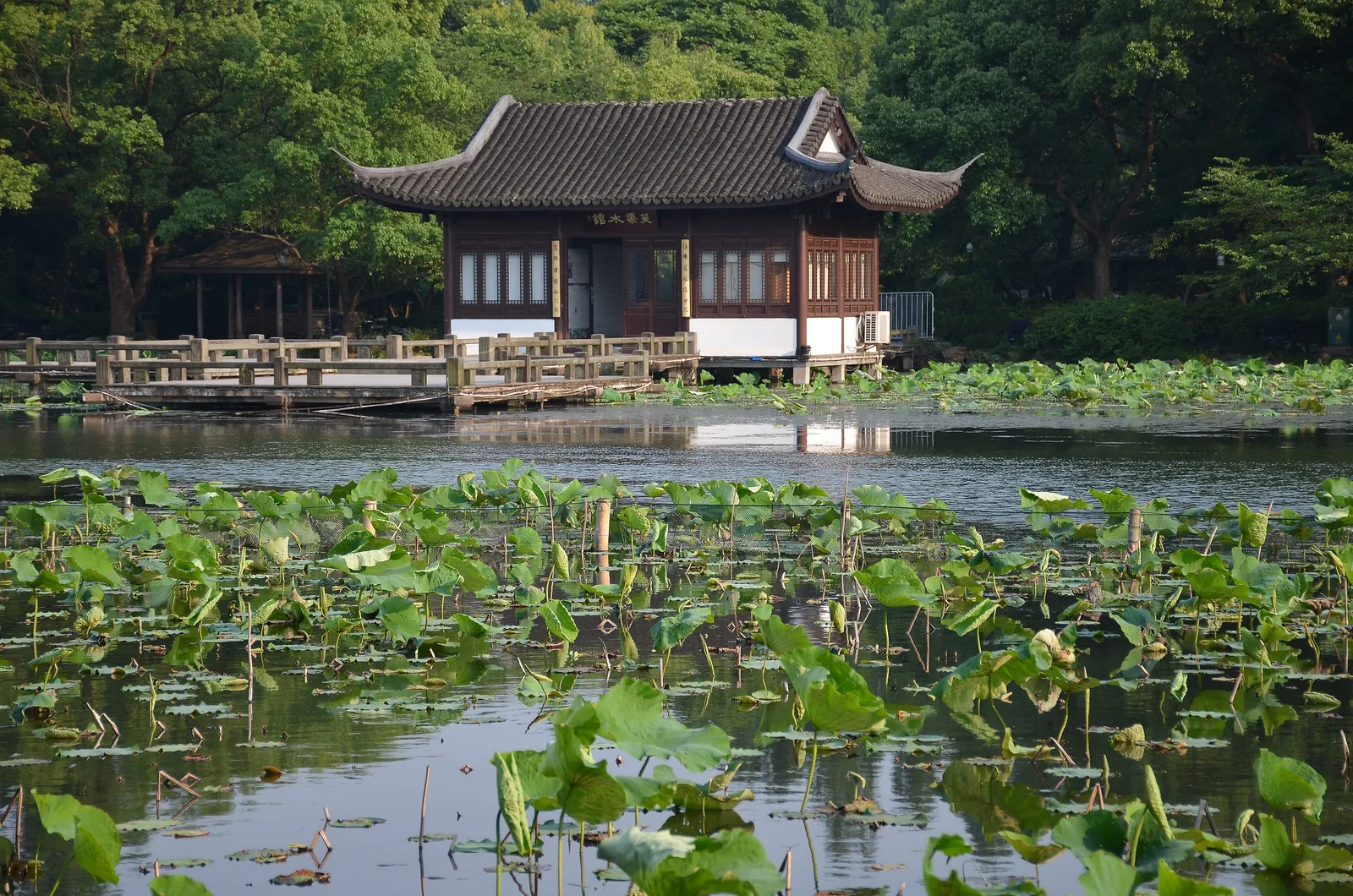 A pavilion on the water behind lotus leaves at Xixi Wetland