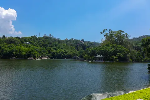 A lake ringed by subtropical forest in Xiamen Botanical Garden