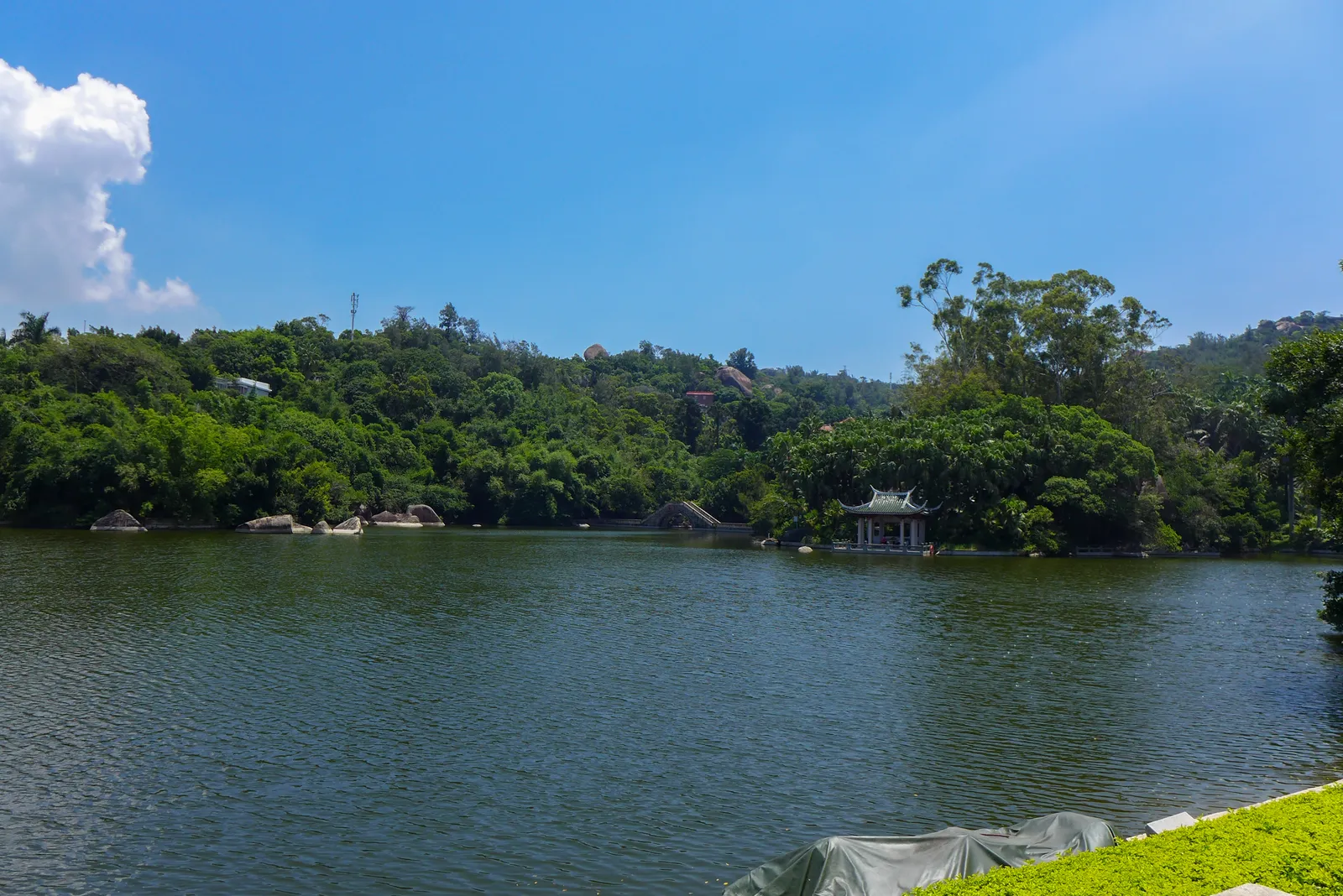A lake ringed by subtropical forest in Xiamen Botanical Garden