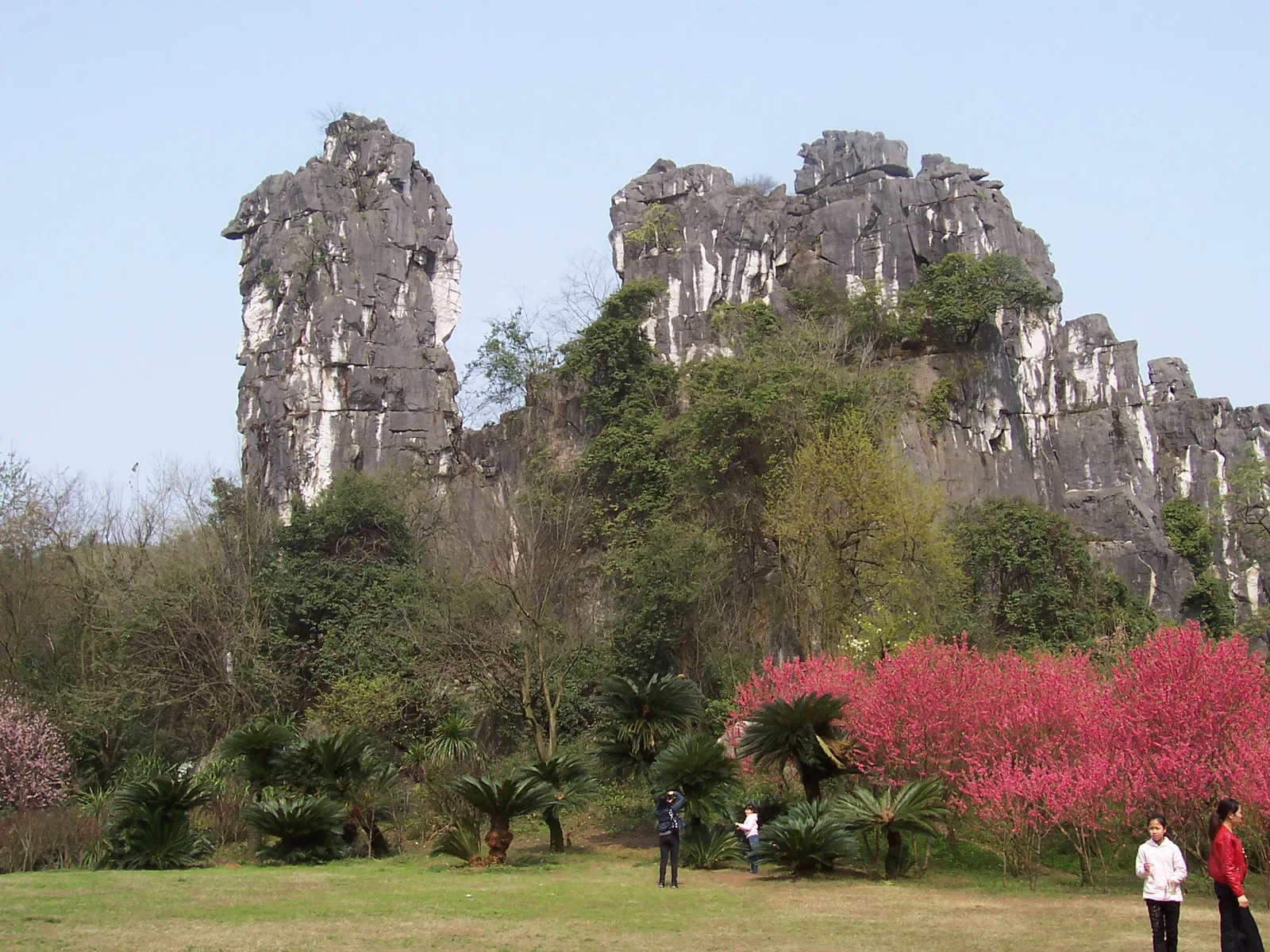 Camel Hill karst peaks in Seven Star Park, Guilin