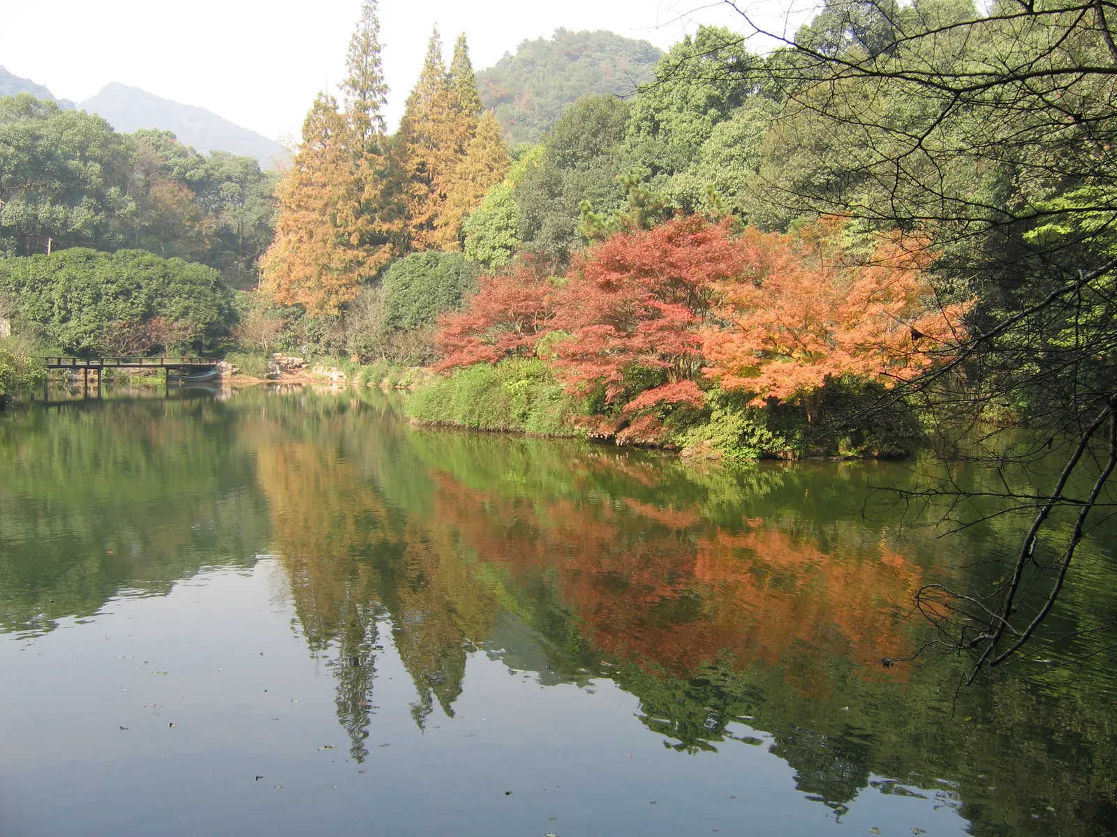 Autumn maples reflected in a still pond at Nine Creeks in Misty Forest