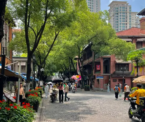 Tree-lined Lihuangpi Road with old concession-era buildings in Hankou