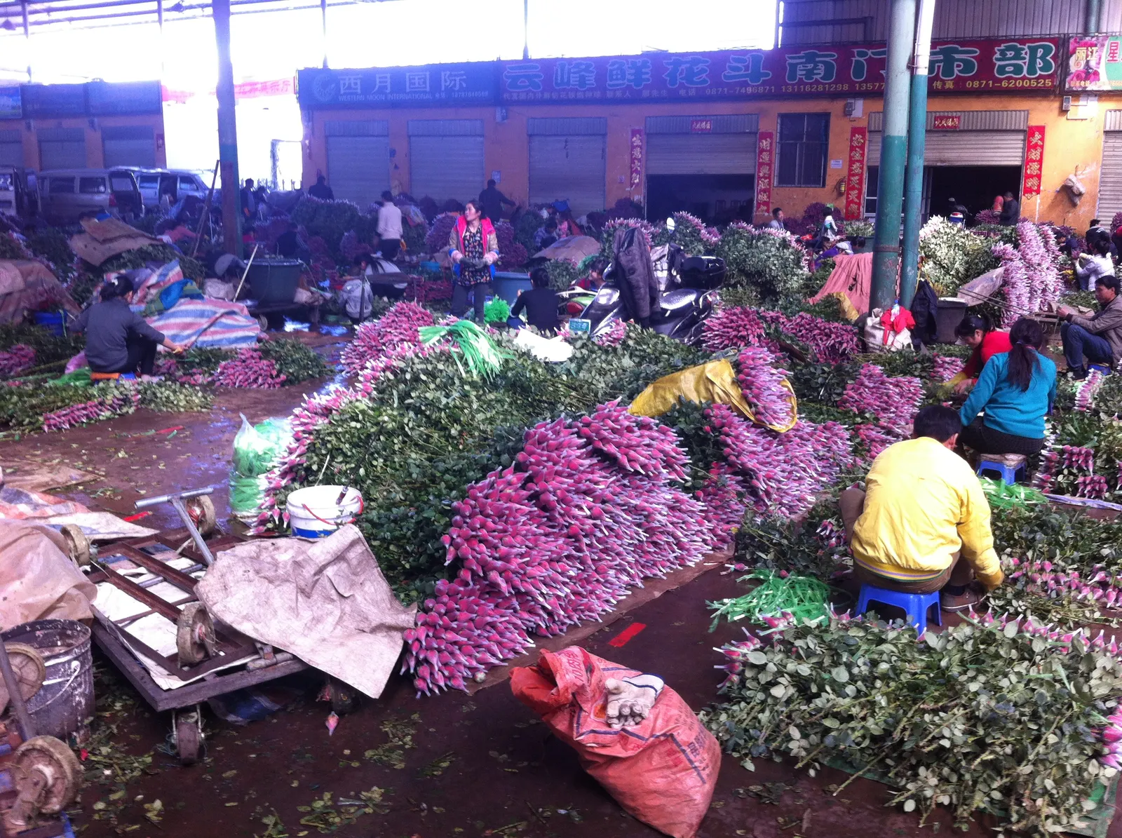 Heaps of fresh-cut flowers on the trading floor of Dounan Flower Market
