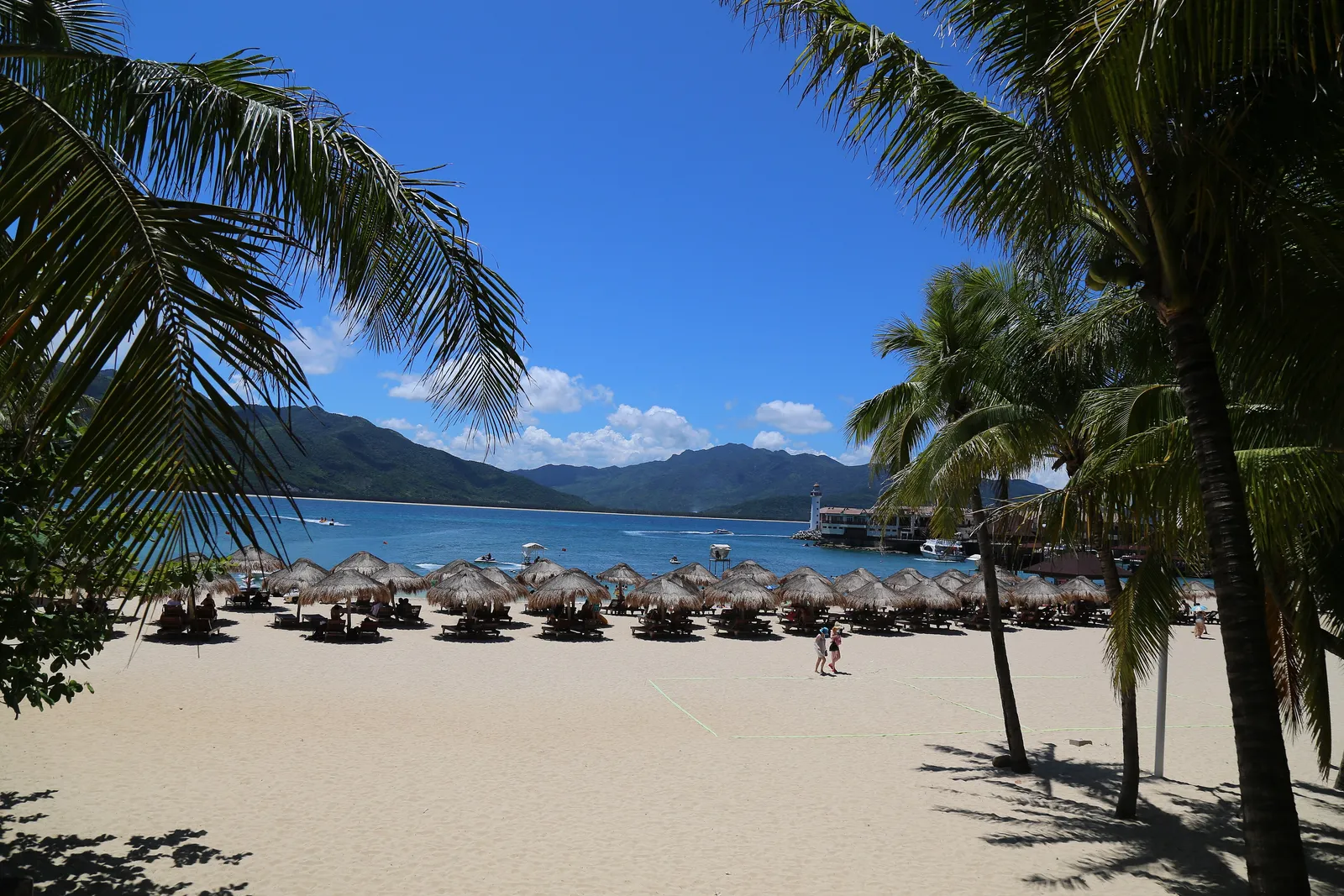 Palm trees and a sandy beach on Fenjiezhou Island