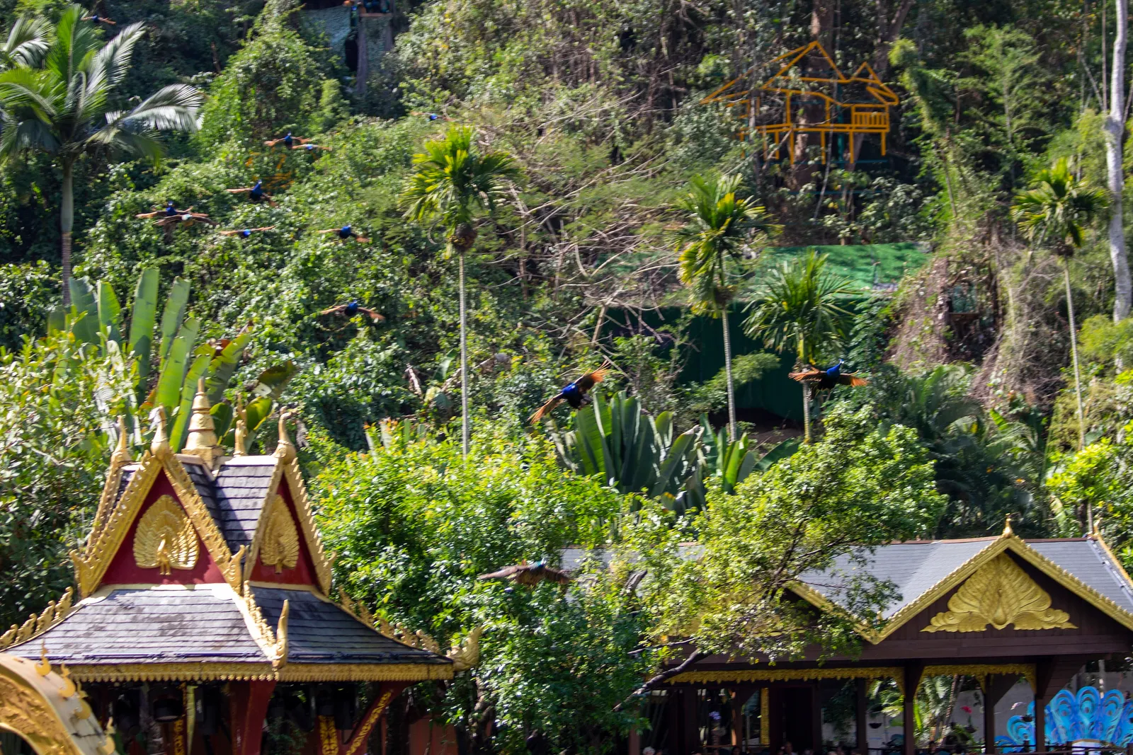 Dai-style pavilions among dense rainforest at Xishuangbanna Primeval Forest Park