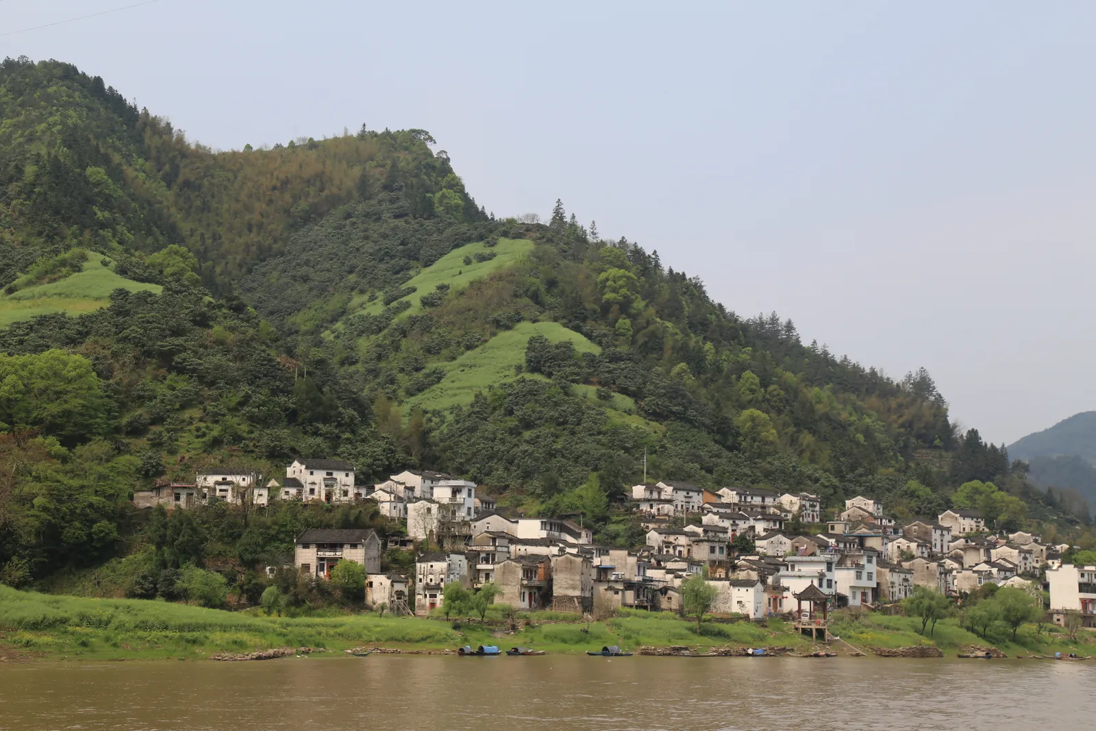 Village of white Huizhou houses on a green hillside along the Xin’an River