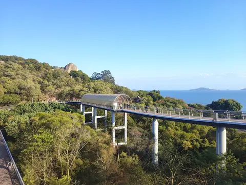 An elevated walkway of the Mountain-to-Sea Trail above the treetops