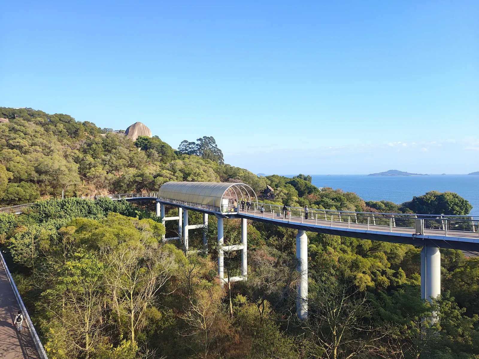 An elevated walkway of the Mountain-to-Sea Trail above the treetops