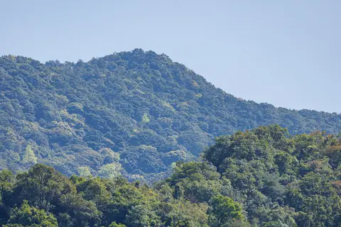 Forested slopes of Wutong Mountain, Shenzhen's highest peak