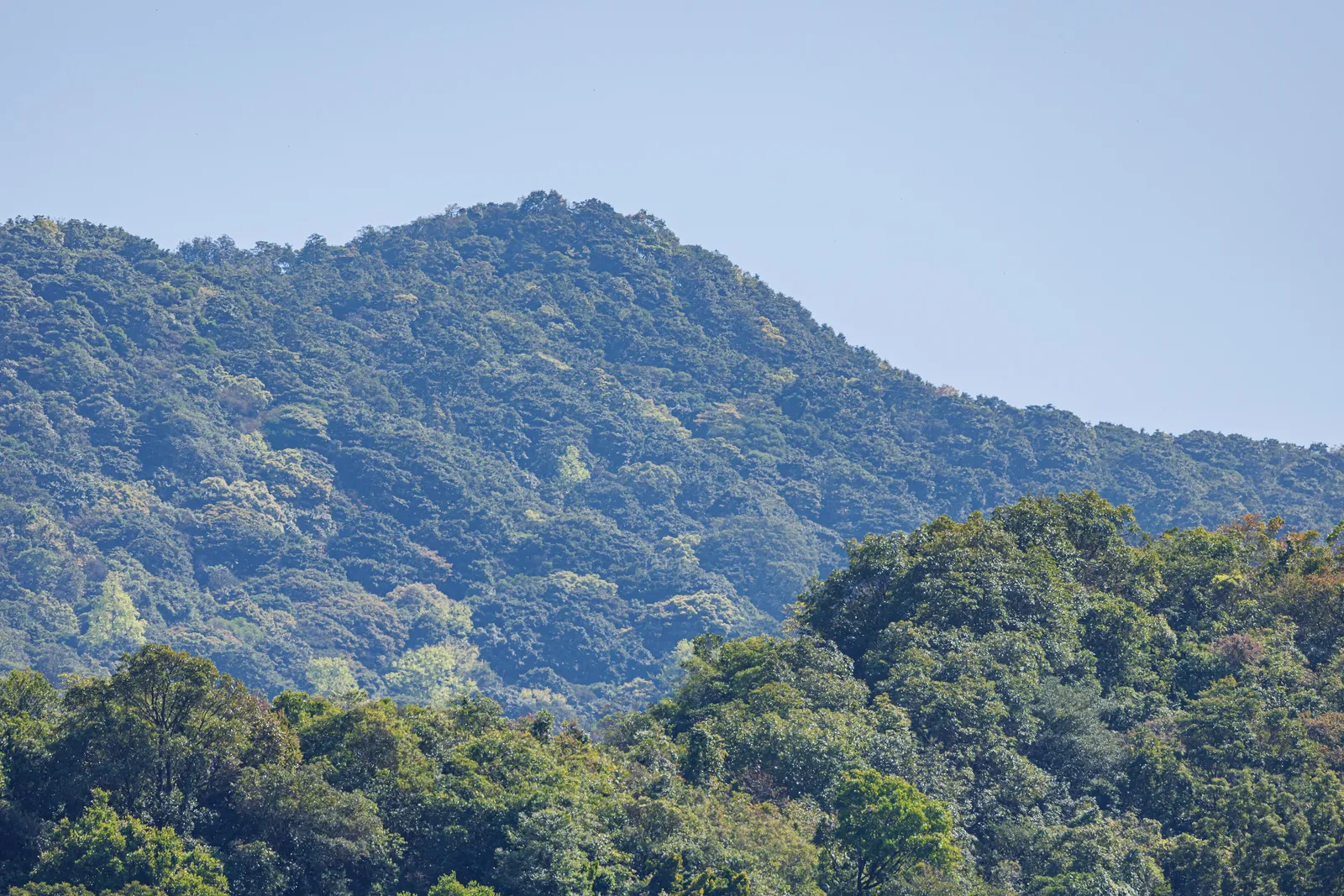 Forested slopes of Wutong Mountain, Shenzhen's highest peak