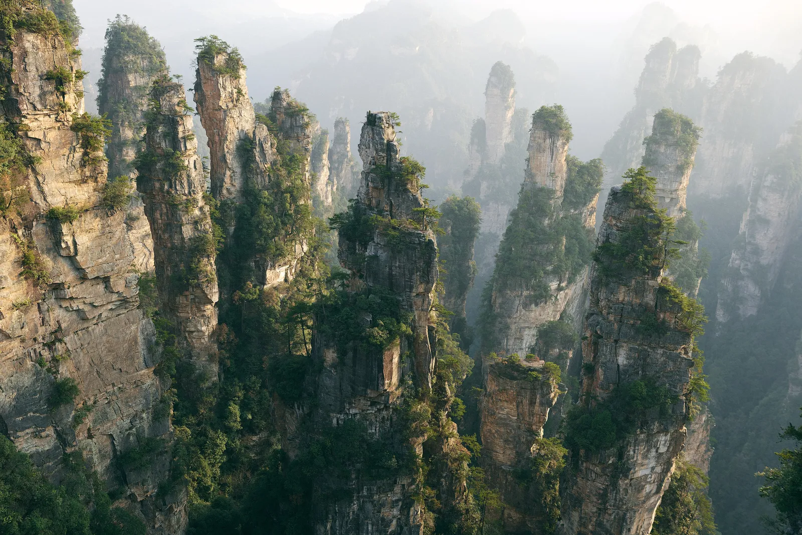 Sandsteinsäulen im Nationalpark Zhangjiajie