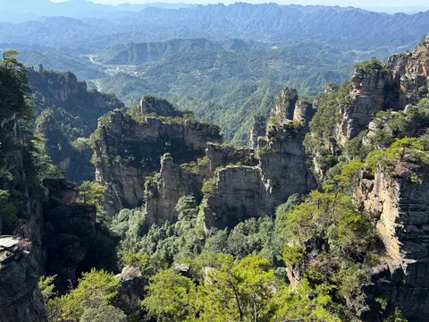 Forested sandstone peaks seen from the Yuanjiajie clifftop trail