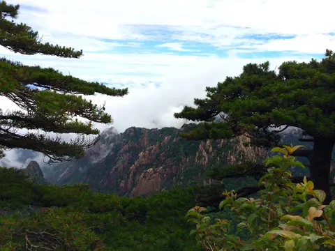 Pines and peaks seen from Beginning-to-Believe Peak
