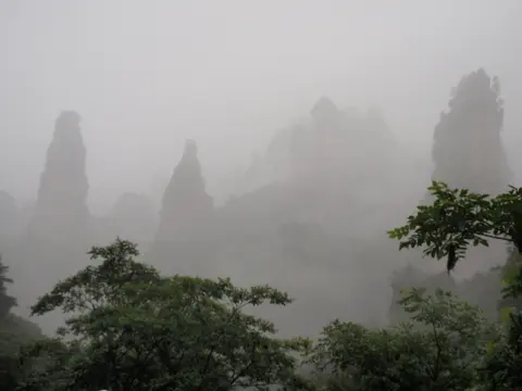 Mist-wrapped sandstone pillars along the Ten-Mile Gallery valley, Wulingyuan