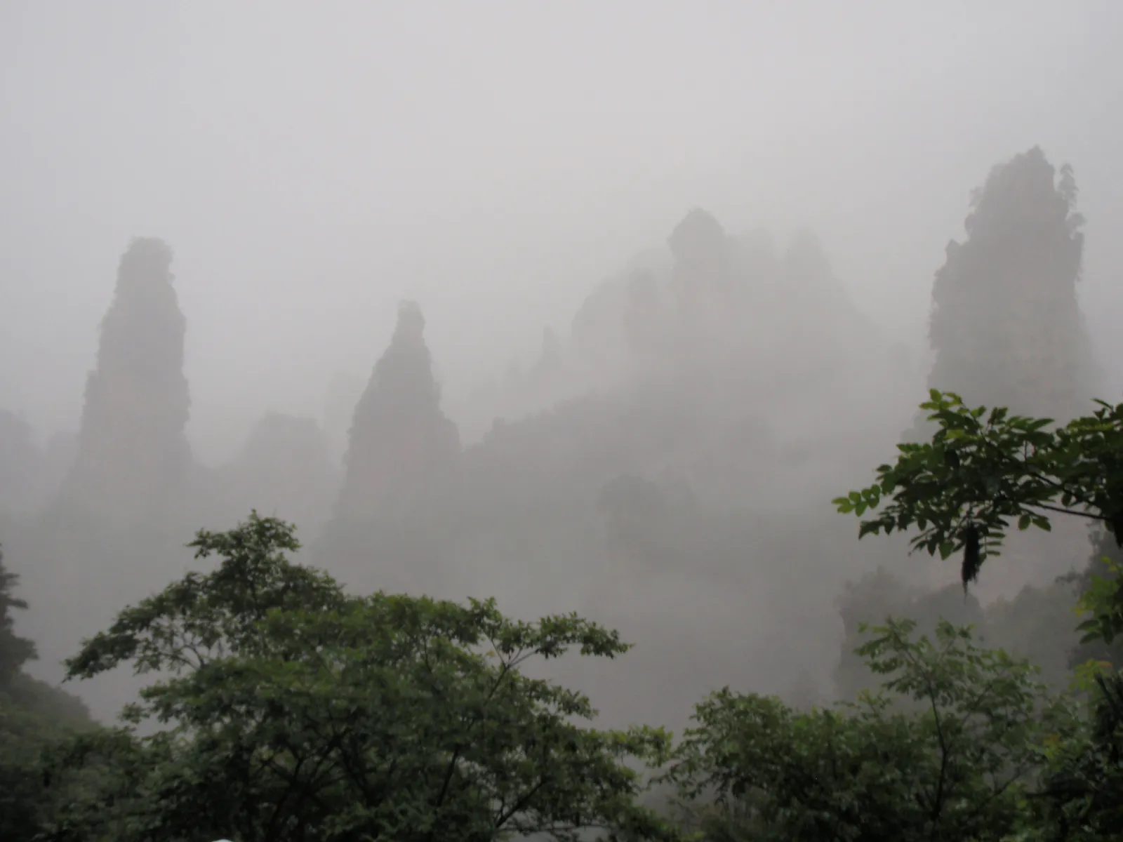 Mist-wrapped sandstone pillars along the Ten-Mile Gallery valley, Wulingyuan