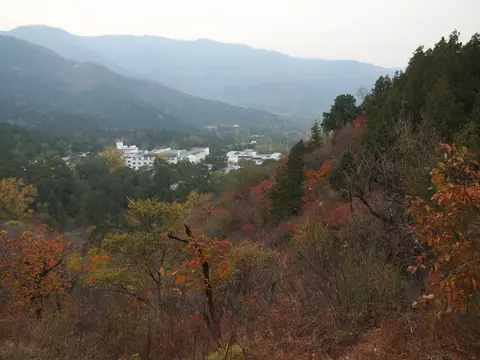 Autumn foliage turning red on the slopes of Fragrant Hills Park