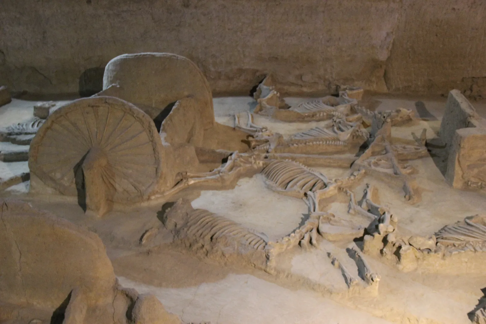 Excavated Eastern Zhou chariots and horse skeletons in the Six-Horse Chariot pit