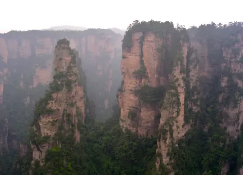 Sandstone pillars rising from the forest at Yangjiajie