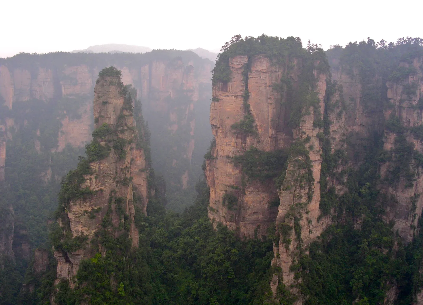 Sandstone pillars rising from the forest at Yangjiajie