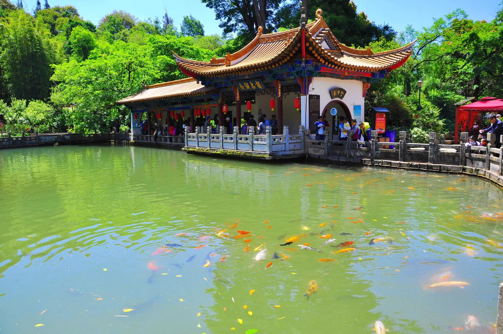 Temple hall beside the koi pond at Black Dragon Pool Park