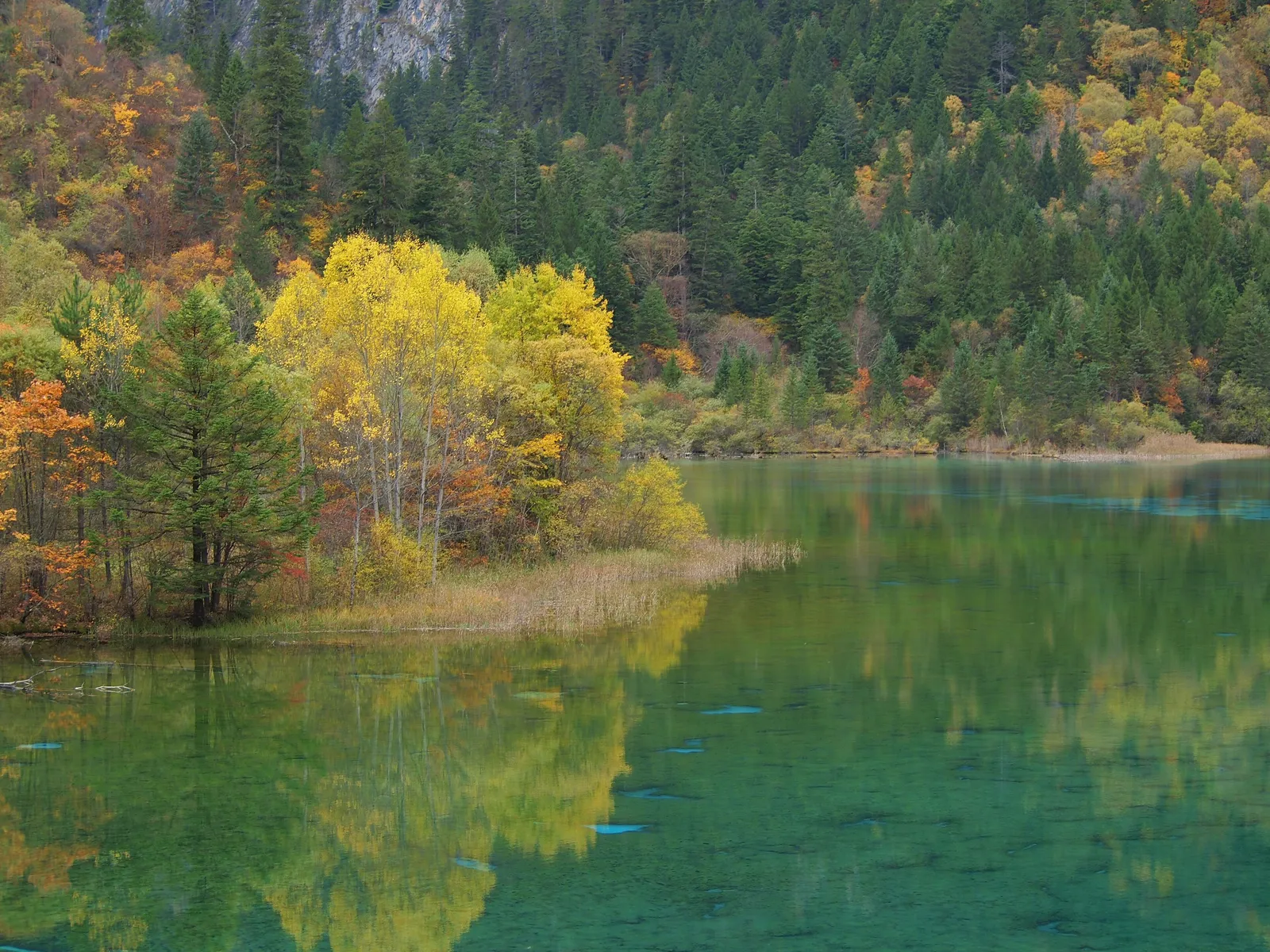 Couleurs d’automne au lac aux Cinq Fleurs, Jiuzhaigou