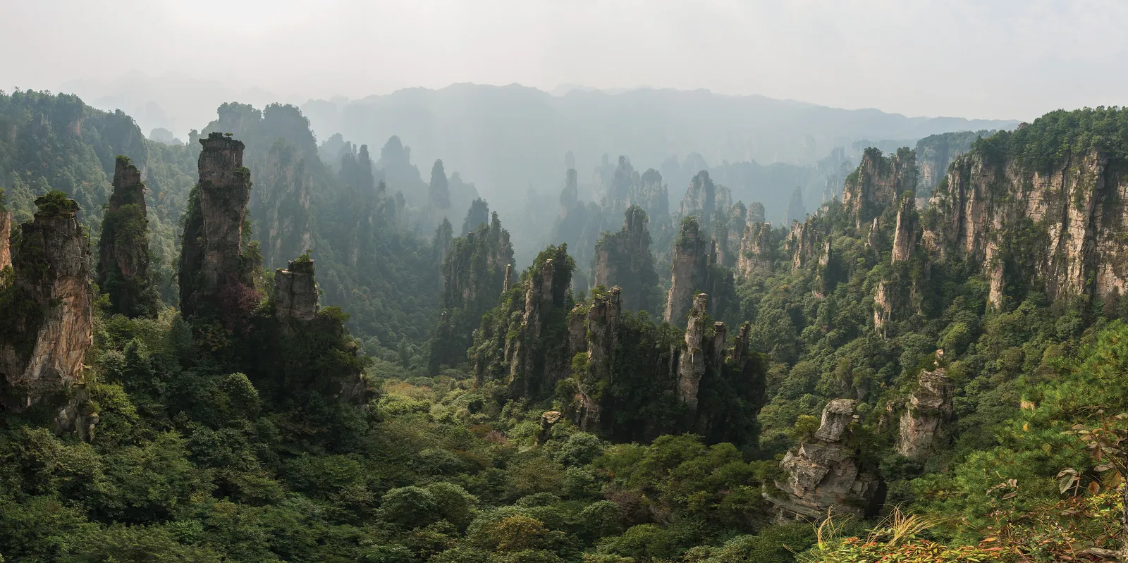 Panorama of the stone peak forest from Tianzi Mountain