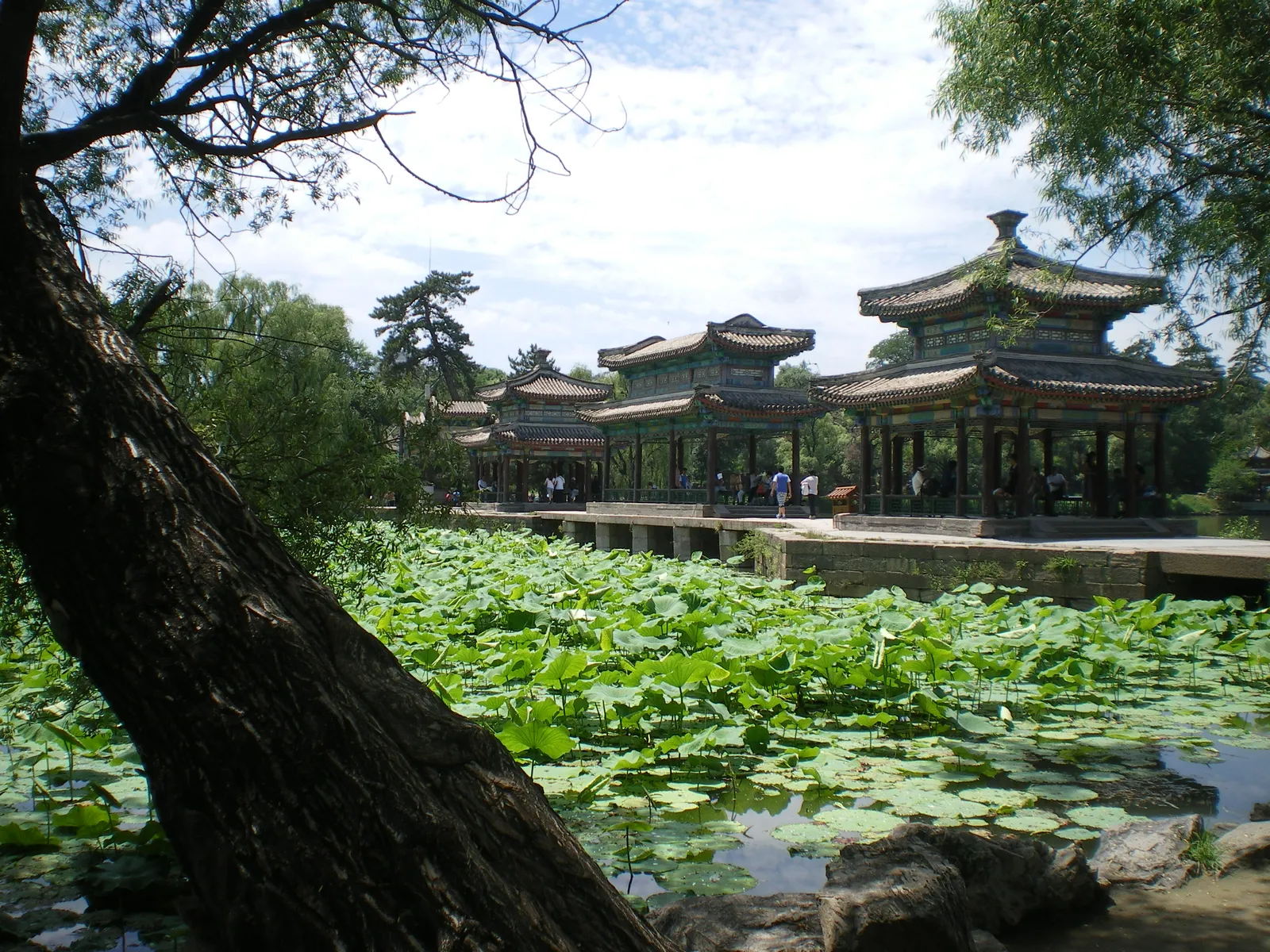 Lotus pond and lakeside pavilions in Chengde Mountain Resort