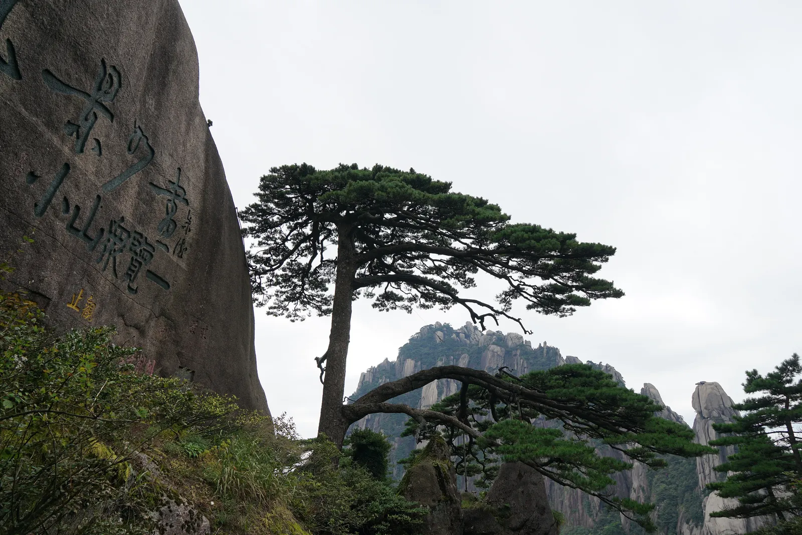 The Welcoming Guest Pine beside the granite cliffs of Yuping Peak