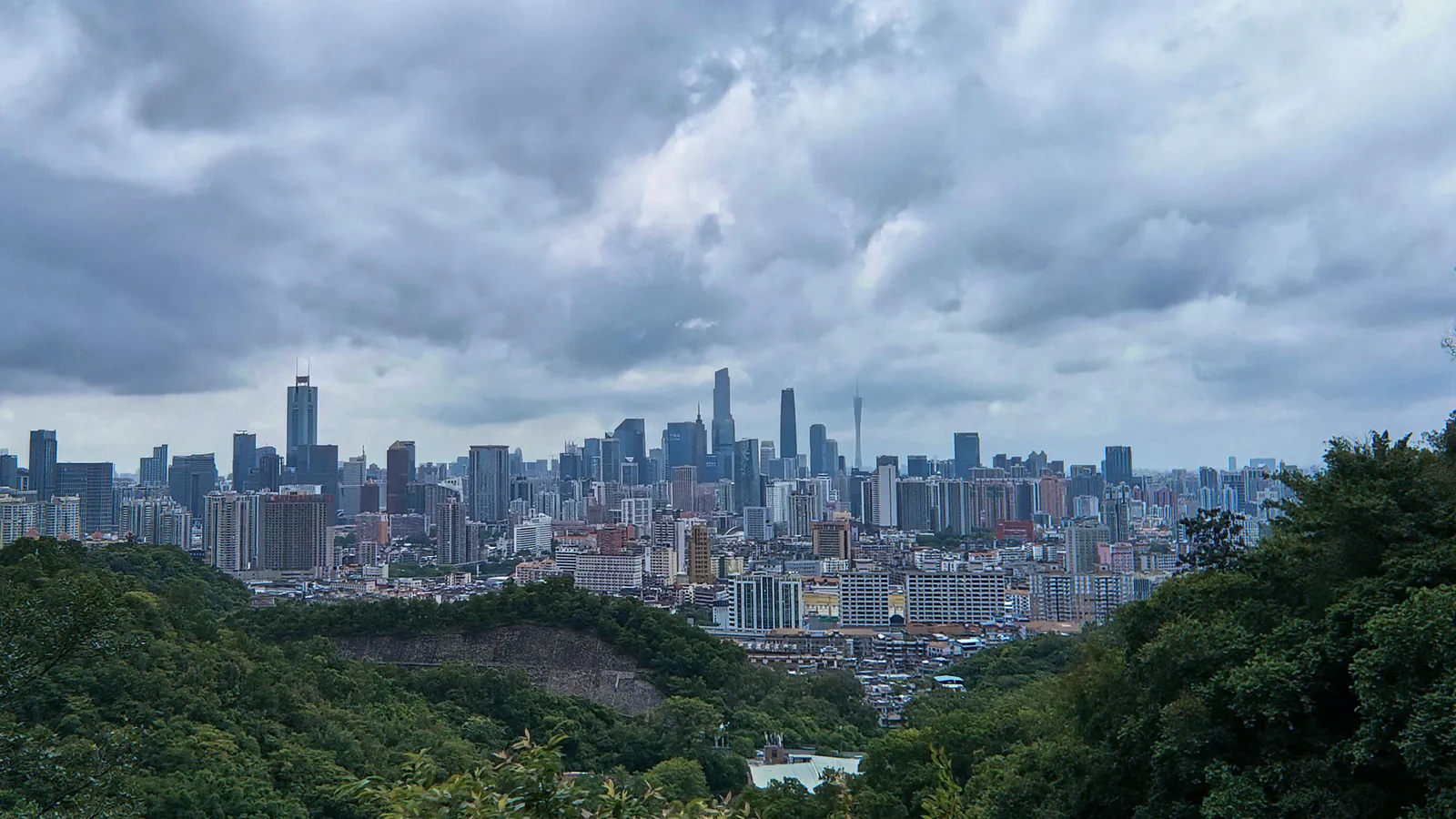 Guangzhou's skyline seen over forest from Baiyun Mountain