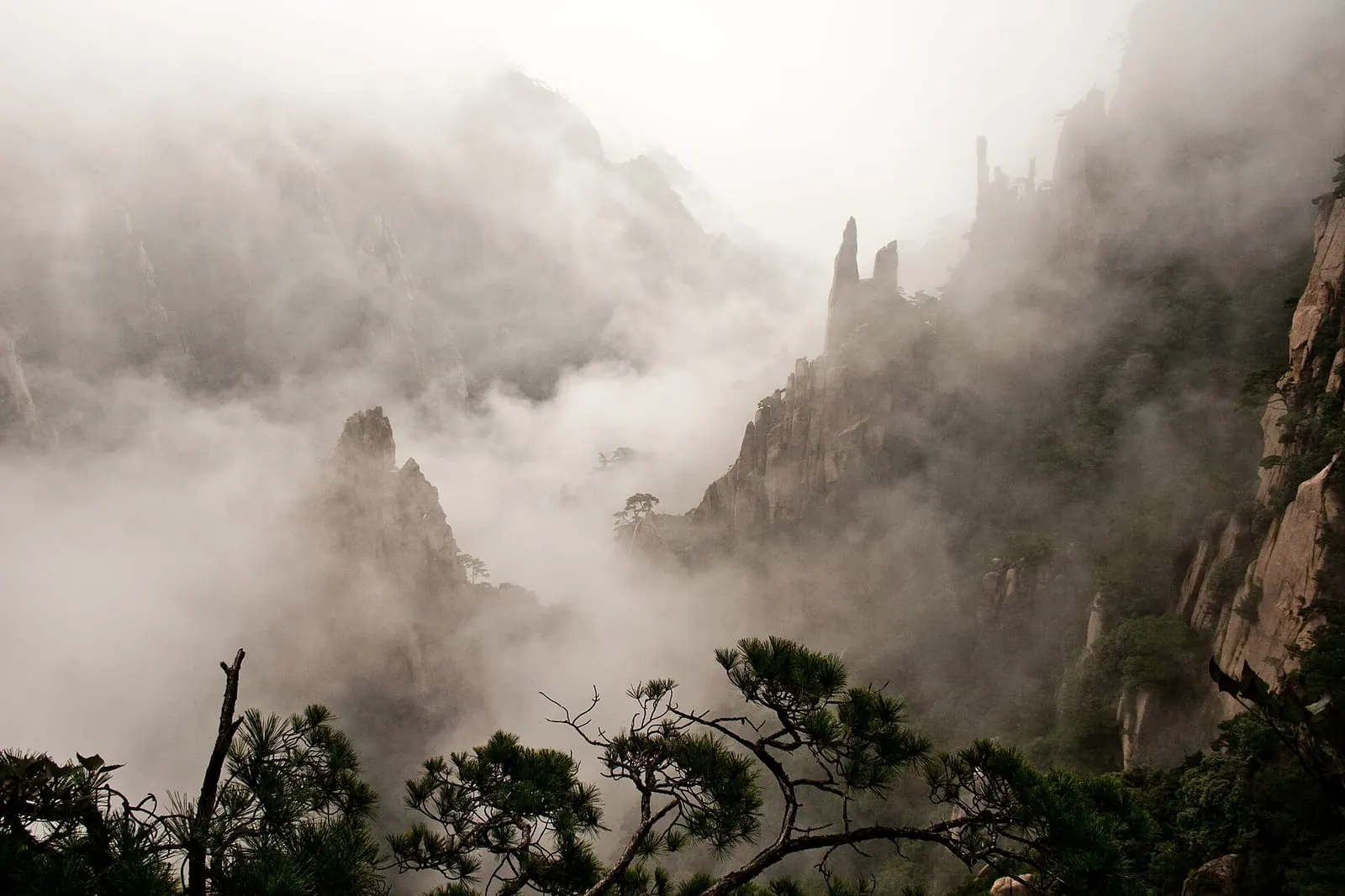 Granite peaks and pines rising from mist on Huangshan