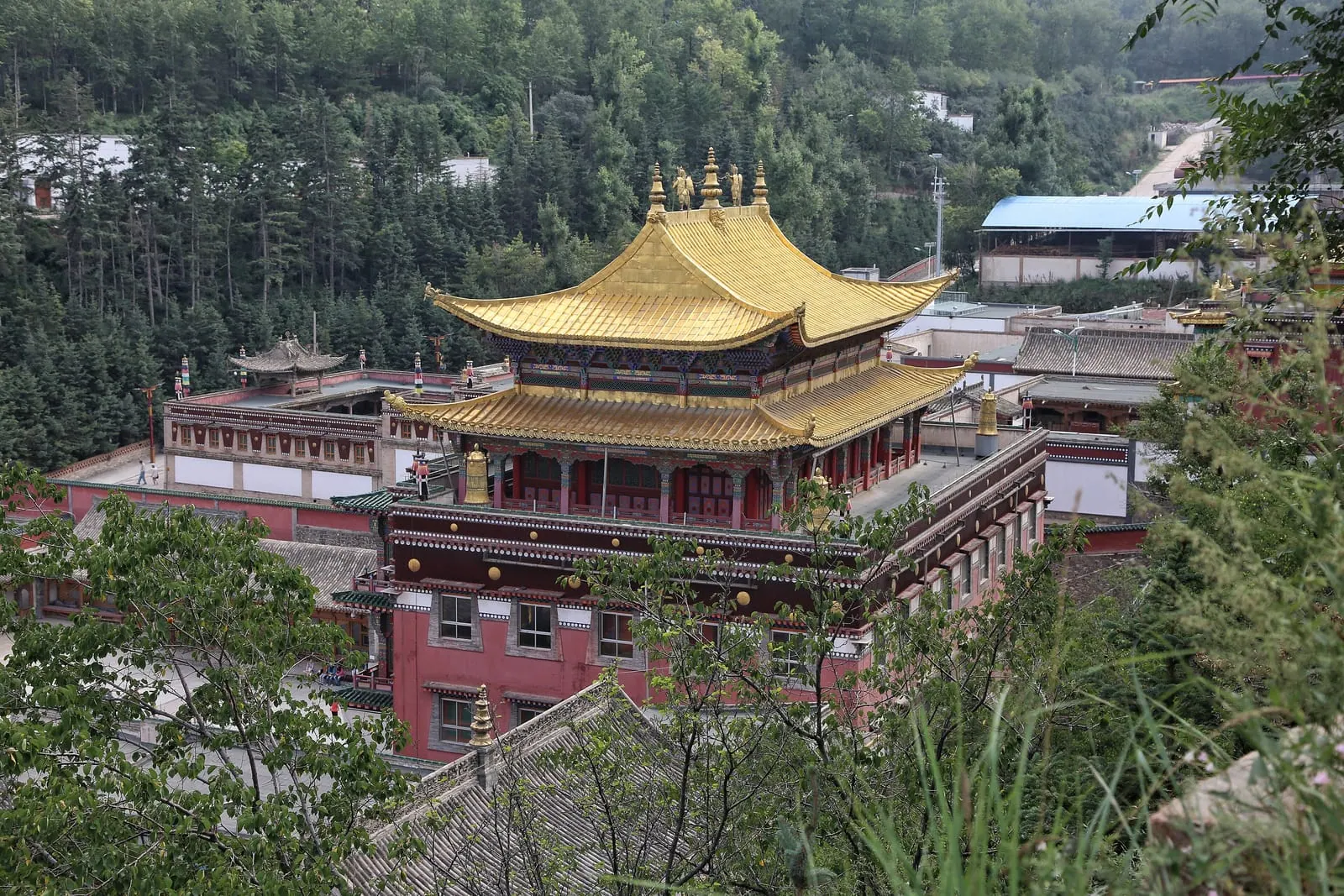 Golden roofs of a prayer hall at Kumbum Monastery near Xining